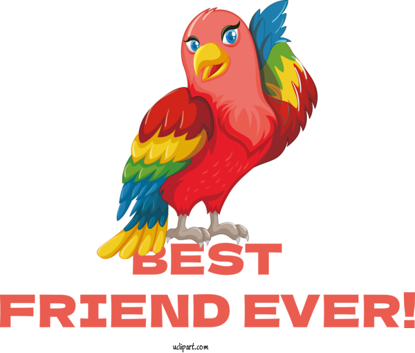 Free Holiday Birds Parrots Macaw For Friendship Day Clipart Transparent Background