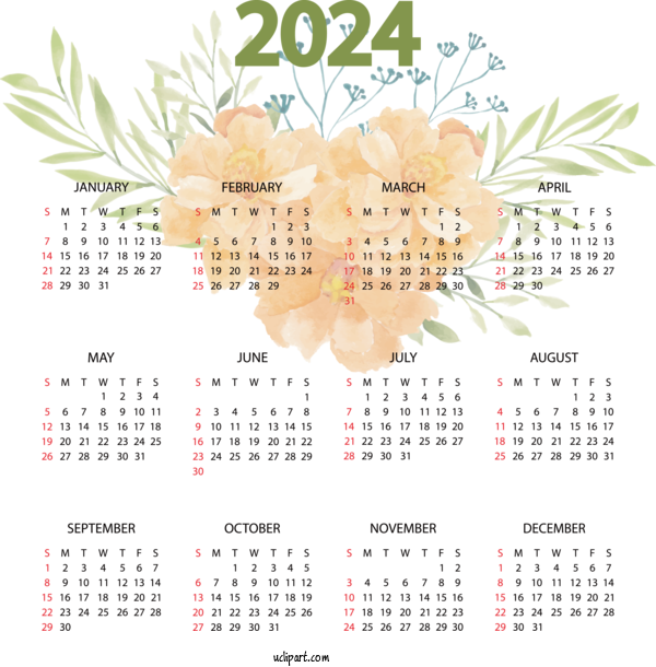 Free 2024 Yearly Calendar May Calendar Calendar Day Of Week For 2024 Yearly Printable Calendar Clipart Transparent Background