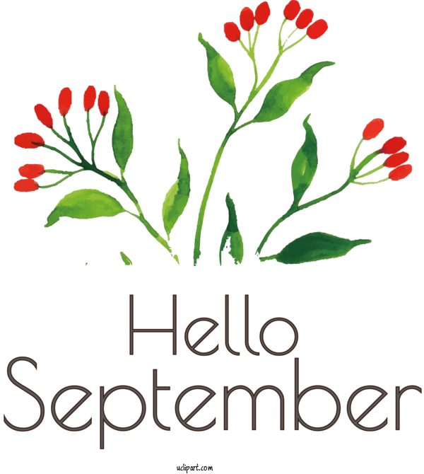 Free Holidays Design Flower Painting For Hello September Clipart Transparent Background