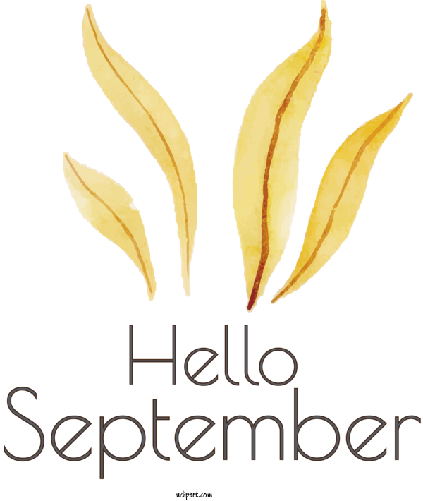 Free Holidays Leaf Font Text For Hello September Clipart Transparent Background
