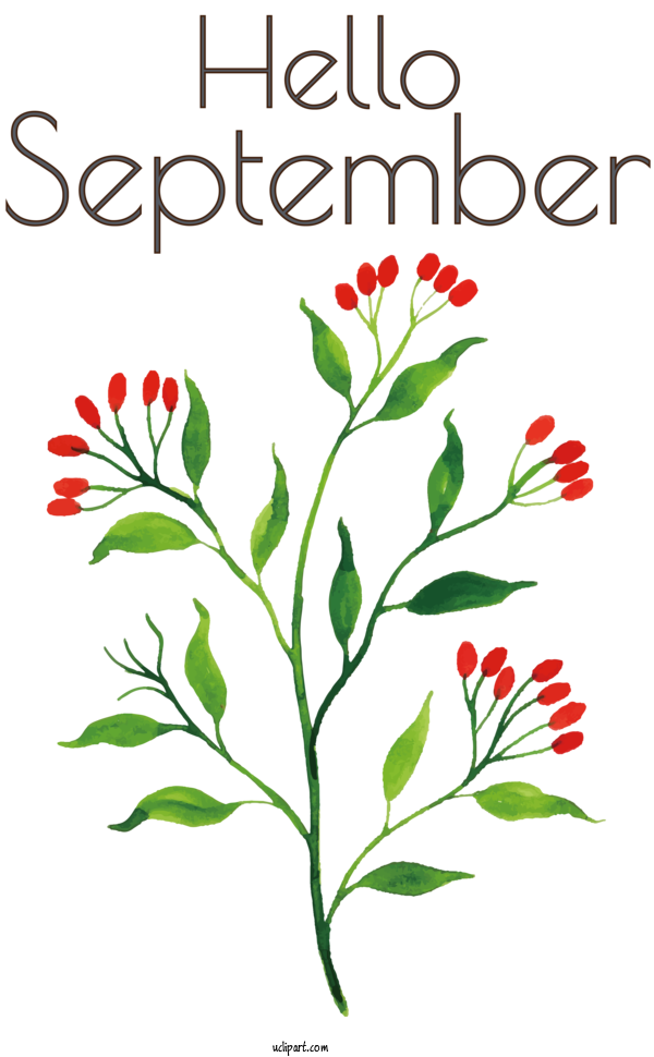 Free Holidays Flower Design Leaf For Hello September Clipart Transparent Background