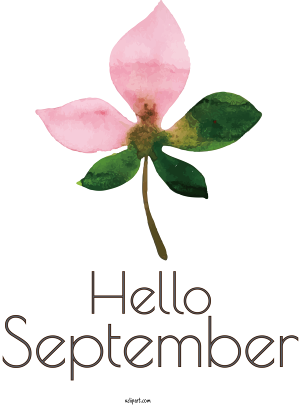 Free Holidays Leaf Plant Stem Cut Flowers For Hello September Clipart Transparent Background