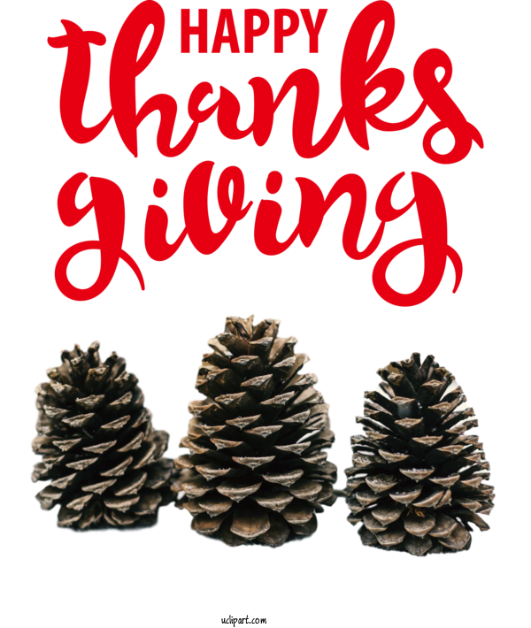 Free Holidays Fir Bauble Spruce For Thanksgiving Clipart Transparent Background