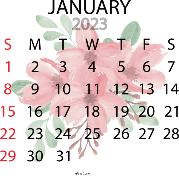 Free Holidays Design Cut Flowers Floral Design For 2023 January Calendar Clipart Transparent Background
