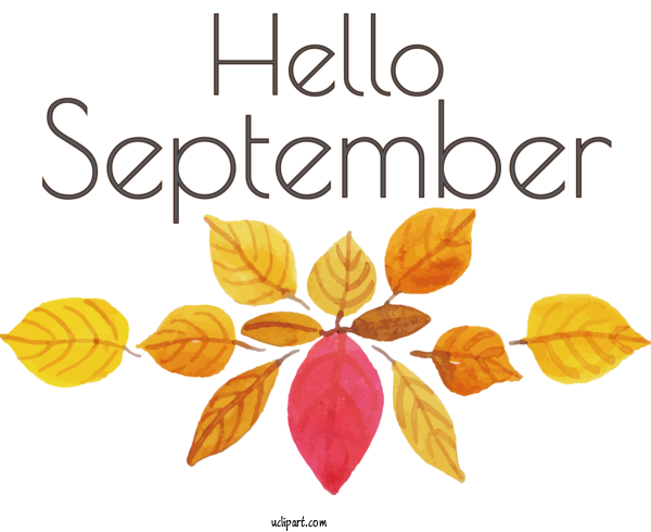 Free Holidays Leaf Flower Plant Stem For Hello September Clipart Transparent Background