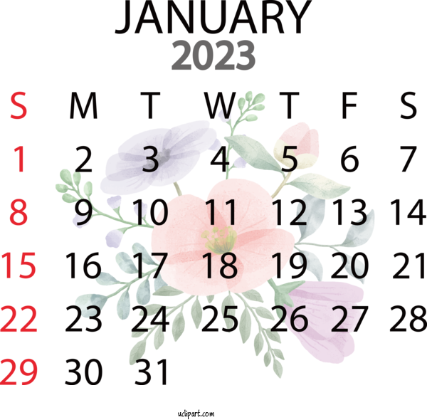 Free Holidays Cut Flowers Design Floral Design For 2023 January Calendar Clipart Transparent Background