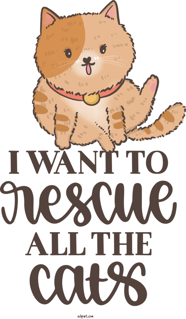 Free Holiday Cat Kitten Cat Like For Rescue All The Cats Clipart Transparent Background