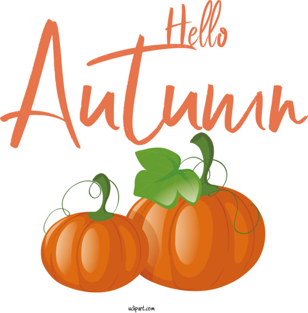 Free Fall Squash Flower Vegetable For Hello Autumn Clipart Transparent Background