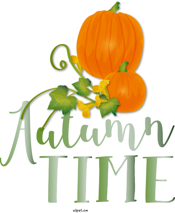 Free Fall Squash Winter Squash Flower For Autumn Time Clipart Transparent Background