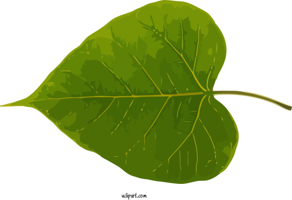 Free Bodhi Leaf Plant Stem Green For Bodhi Festival Clipart Transparent Background