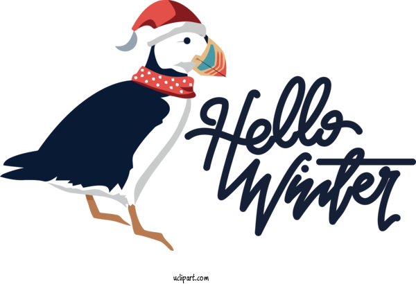 Free Winter Birds Flightless Bird Beak For Hello Winter Clipart Transparent Background