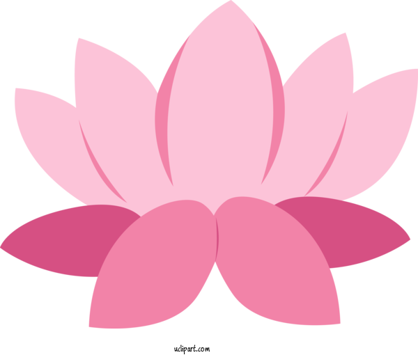 Free Bodhi Flower Design Aquatic Plant For Bodhi Festival Clipart Transparent Background