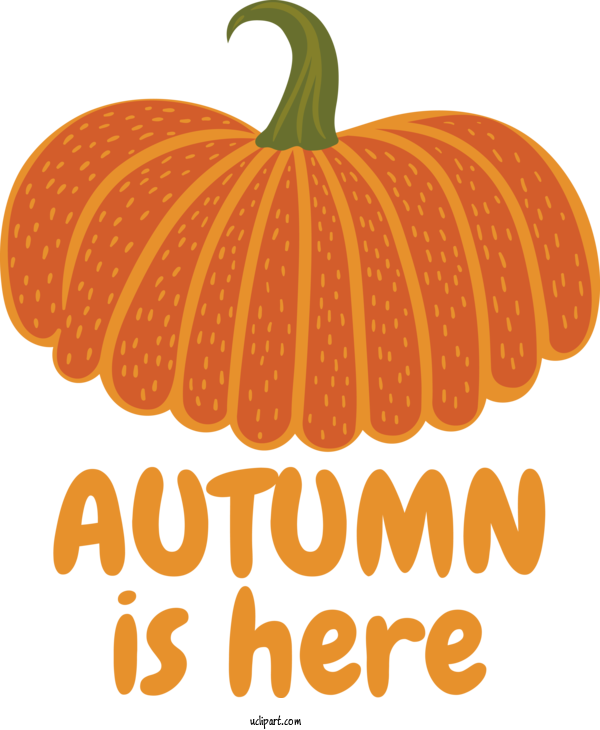 Free Nature Squash Jack O' Lantern Vegetable For Autumn Clipart Transparent Background
