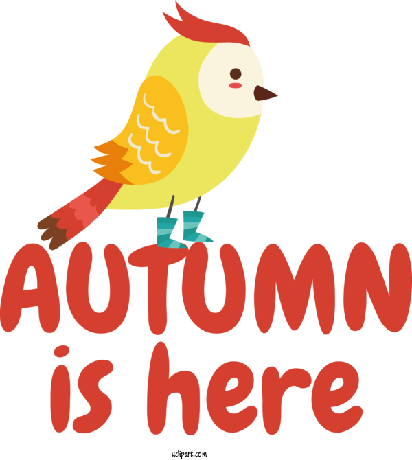 Free Nature Birds Text Beak For Autumn Clipart Transparent Background