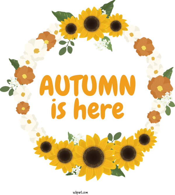 Free Nature Picture Frame Common Sunflower Design For Autumn Clipart Transparent Background