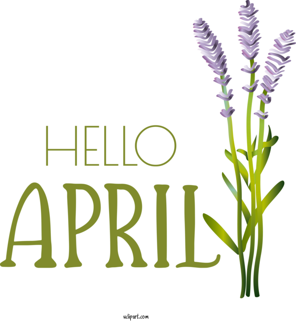 Free April Art Design Lavender Cartoon Drawing For Hello April Clipart Transparent Background