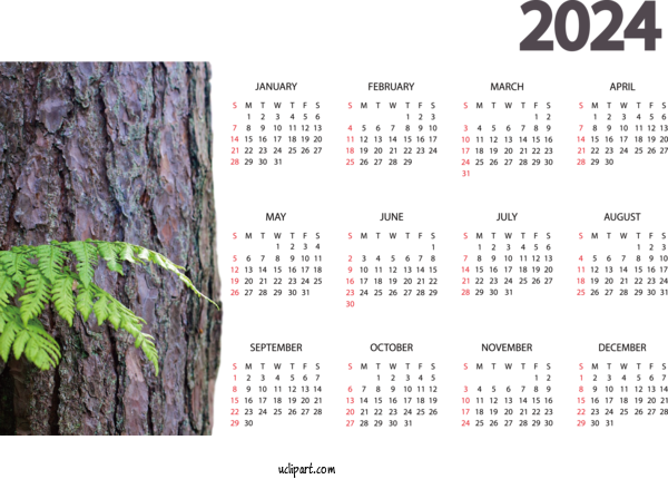 Free 2024 Calendar Tree Trunk Bark For 2024 Yearly Calendar Clipart Transparent Background