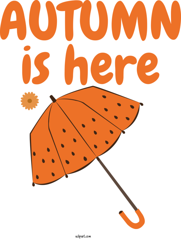 Free Autumn Leaf Cartoon Line For Autumn Is Here Clipart Transparent Background