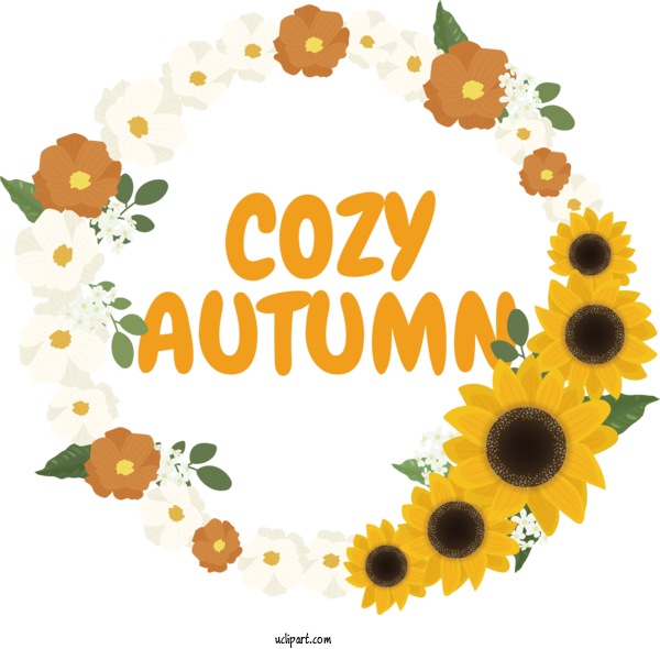 Free Autumn Common Sunflower Design Drawing For Cozy Autumn Clipart Transparent Background