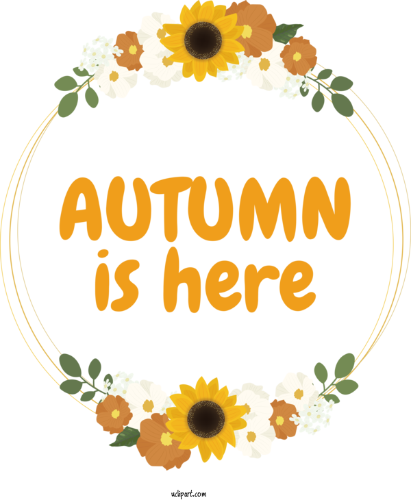 Free Autumn Drawing Autumn Common Sunflower For Autumn Is Here Clipart Transparent Background