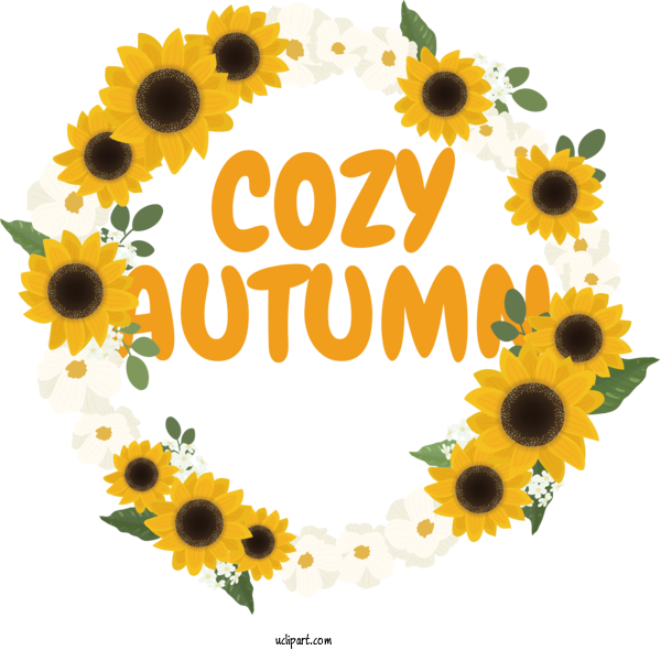 Free Autumn Common Sunflower Design Drawing For Cozy Autumn Clipart Transparent Background