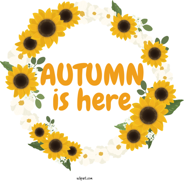 Free Autumn Common Sunflower Design Flower For Autumn Is Here Clipart Transparent Background