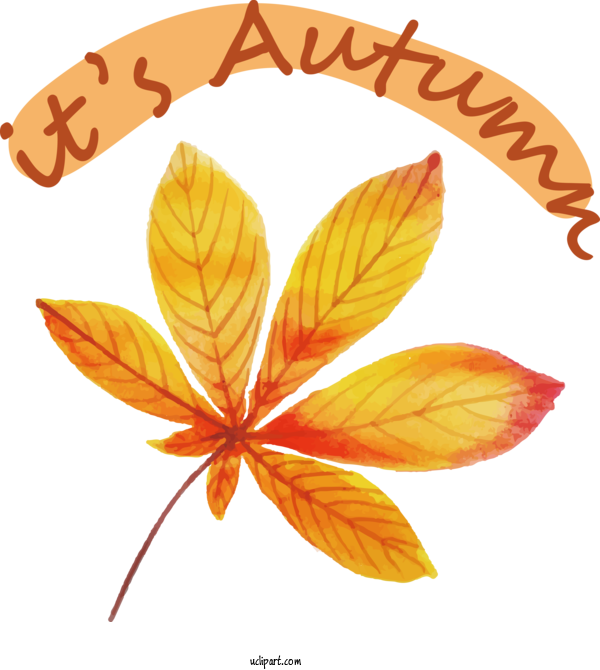 Free Hello Autumn Leaf Font Orange For Its Autumn Clipart Transparent Background