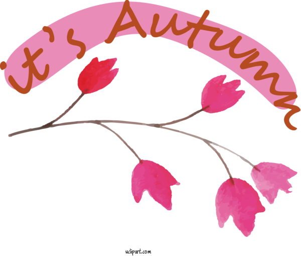 Free Hello Autumn Flower Plant Stem Leaf For Its Autumn Clipart Transparent Background