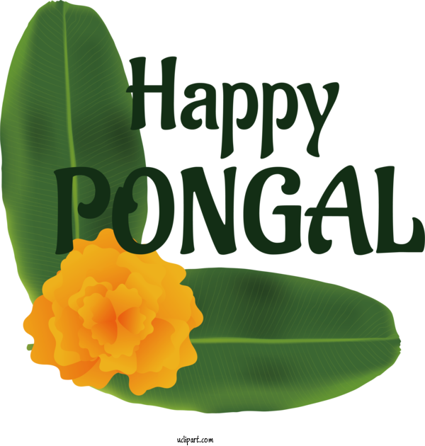 Free Pongal Pongal For Happy Pongal Clipart Transparent Background