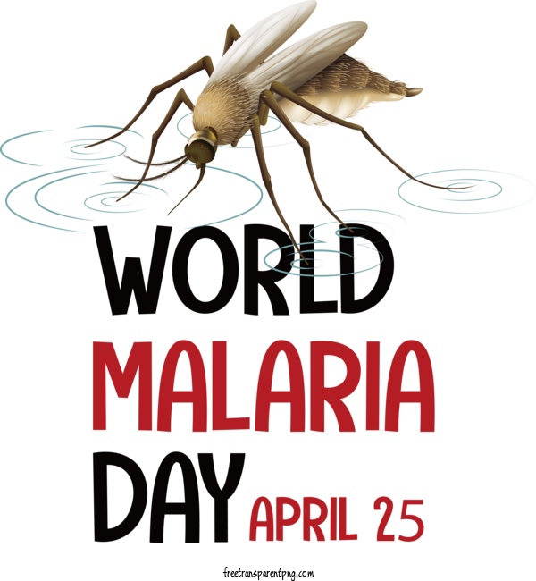 Free World Malaria Day World Malaria Day Malaria Day For 2023 World Malaria Day Clipart Transparent Background