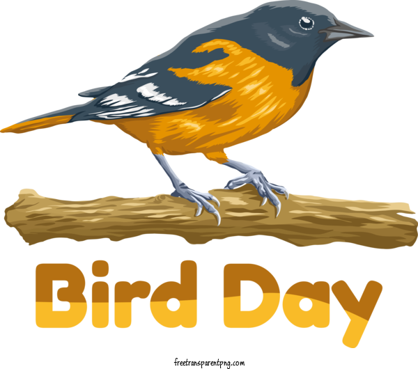 Free Bird Day Bird Day World Bird Day For World Bird Day Clipart Transparent Background