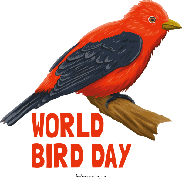 Free Bird Day Bird Day World Bird Day For World Bird Day Clipart Transparent Background