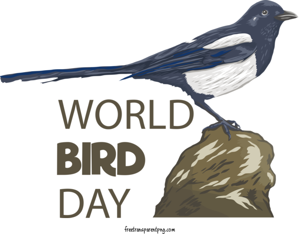 Free International Bird Day International Bird Day Bird Day For Bird Day Clipart Transparent Background