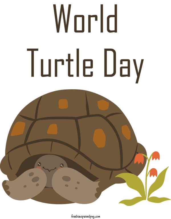 Free Animals Turtle World Turtle Day For Turtle Clipart Transparent Background
