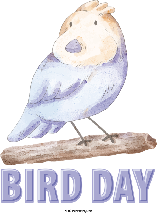 Free Holidays International Bird Day Bird Day For International Bird Day Clipart Transparent Background