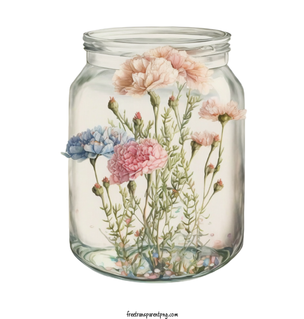 Free Watercolor Carnations In Glass Jar Watercolor Carnations Watercolor Glass Jar For Watercolor Carnations Clipart Transparent Background