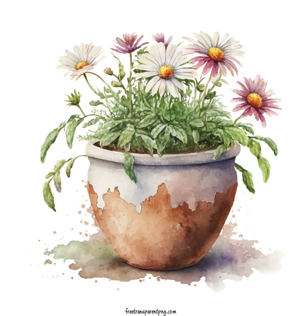 Free Watercolor Daisy In Flower Pot Watercolor Daisy Flower Pot For Watercolor Daisy Clipart Transparent Background