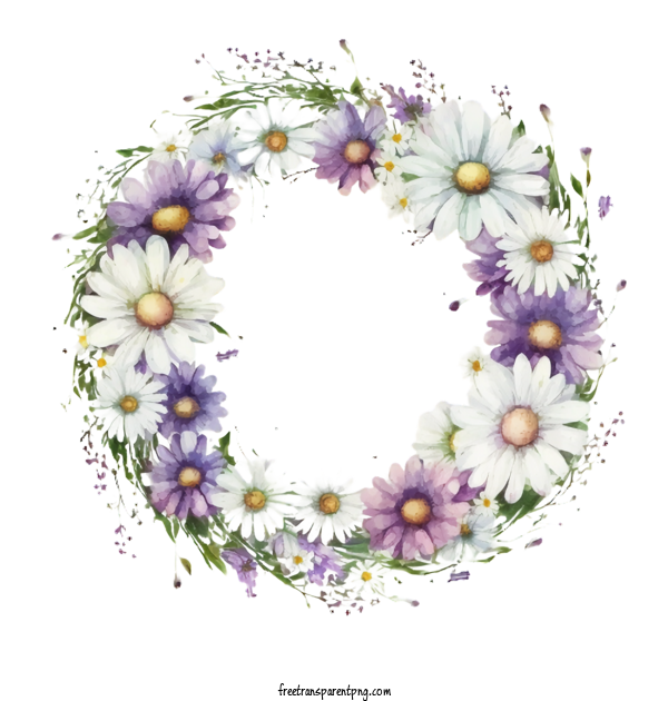 Free Flowers  Purple Daisy Watercolor Daisy Wreath Daisy Wreath For Daisy Clipart Transparent Background