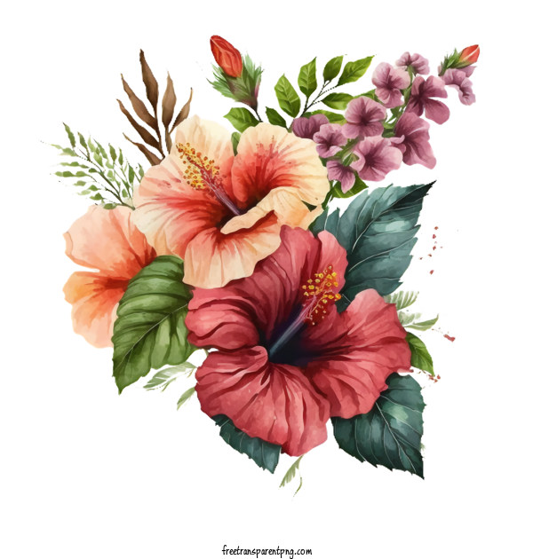 Free Flowers Hibiscus Hand Painted Hibiscus Watercolor Hibiscus For Hibiscus Clipart Transparent Background