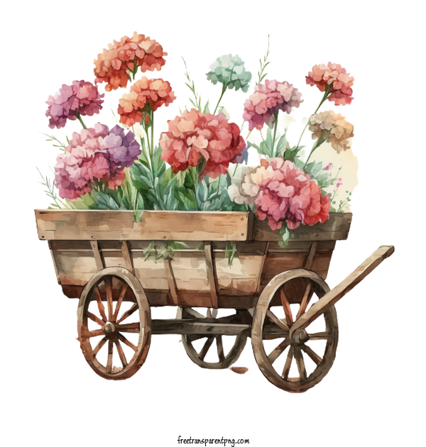 Free Flowers Carnation Watercolor Carnations Carnation In Garden Cart For Carnation Clipart Transparent Background