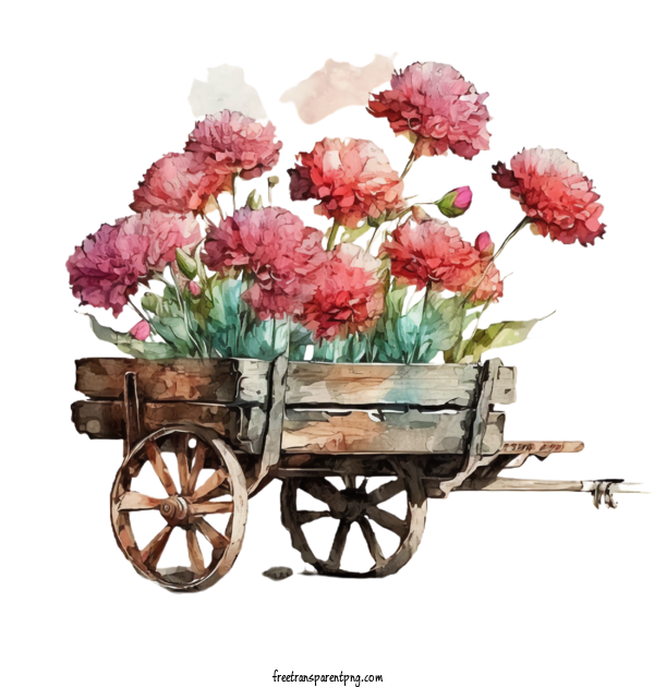 Free Flowers Carnation Watercolor Carnations Carnation In Garden Cart For Carnation Clipart Transparent Background