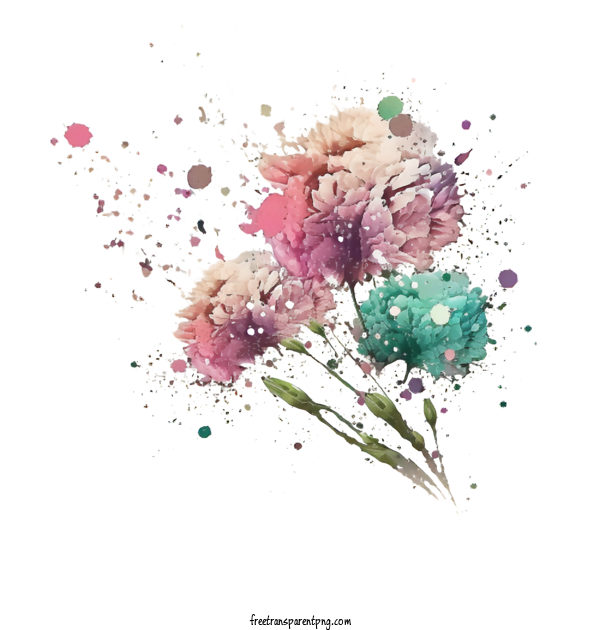 Free Flowers Watercolor Carnations Carnations Retro Carnations For Carnation Clipart Transparent Background