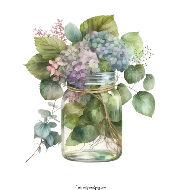 Free Flowers Hydrangeas Hydrangeas In Glass Bottle For Hydrangea Clipart Transparent Background