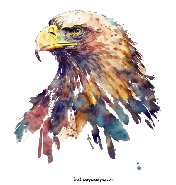 Free Animals Eagle Watercolor Eagle Eagle For Eagle Clipart Transparent Background