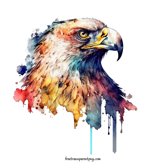 Free Animals Eagle Watercolor Eagle Eagle For Eagle Clipart Transparent Background