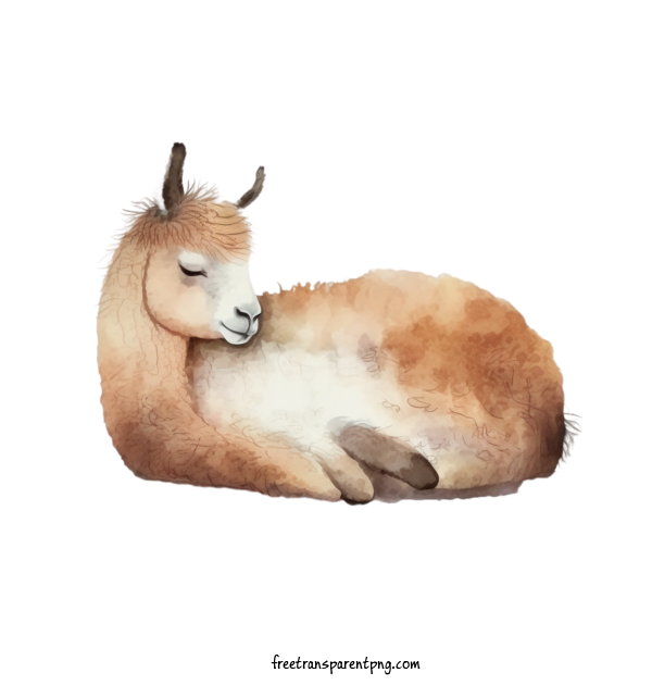 Free Animals Sleeping Llama Llama Cute For Llama Clipart Transparent Background