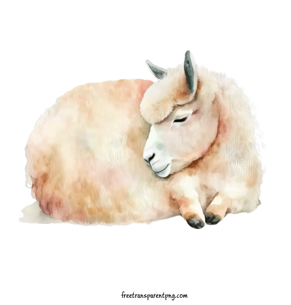 Free Animals Sleeping Llama Llama Lamb For Llama Clipart Transparent Background