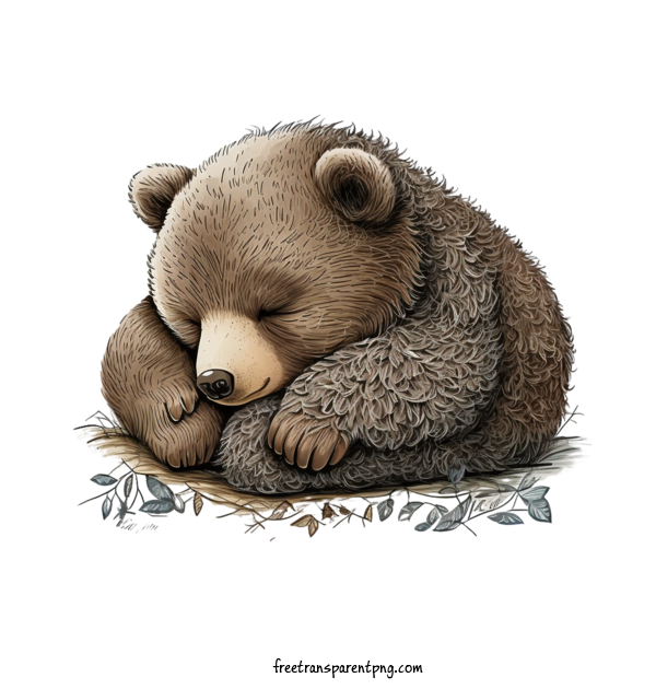 Free Animals Sleeping Bear Cute Adorable For Bear Clipart Transparent Background