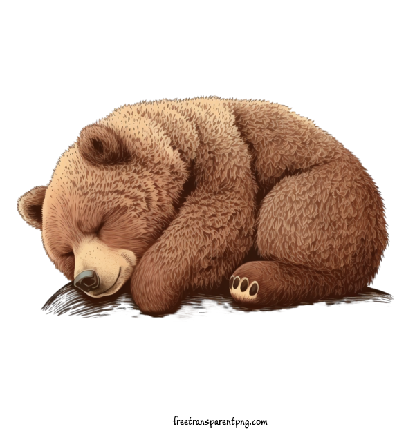 Free Animals Sleeping Bear Bear Sleeping For Bear Clipart Transparent Background