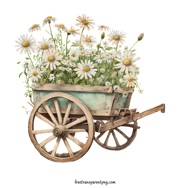 Free Flowers Daisy Daisies Flower Cart For Daisy Clipart Transparent Background